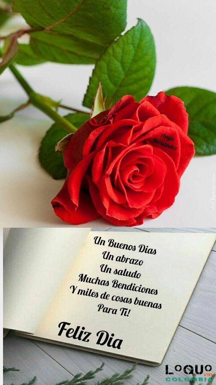 Masajes Eróticos Valle del Cauca: SOLTERAS DE TRUJILLO VIUDAS CASADAS EJECUTIVAS