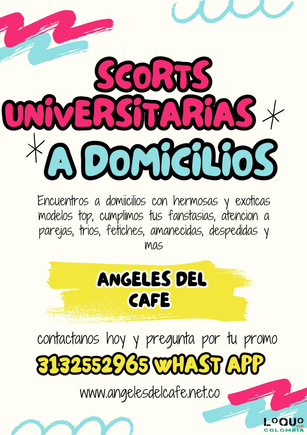 Putas Quindío: Hermosas acompañantes a domicilios en el eje caferetero