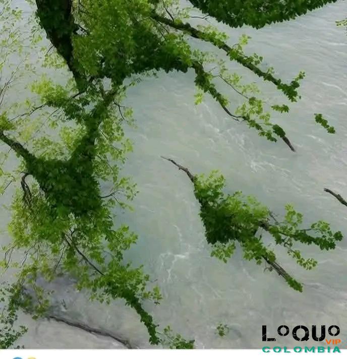 Gigolós Sucre: Mujeres solas las atiendo de placer.